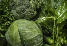 吃素狂嗑青菜NG了!易累又難減脂 2類食材救回來